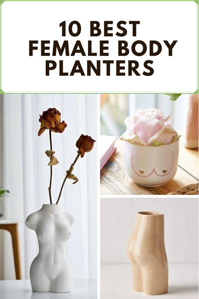 10 Best Female Form Vases, Planters & Pots