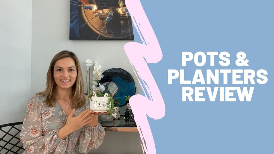 Hanging Sloth Planter Review