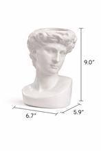 Load image into Gallery viewer, Grecian God Bust Planter