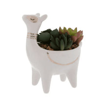 Load image into Gallery viewer, Llama Planter Pot
