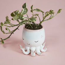Load image into Gallery viewer, Octopus Planter Pot