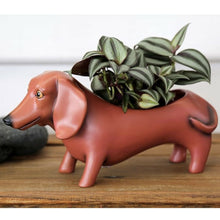 Load image into Gallery viewer, Brown Dachshund Planter Pot