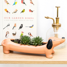 Load image into Gallery viewer, Dachshund Ceramic Dog Planter