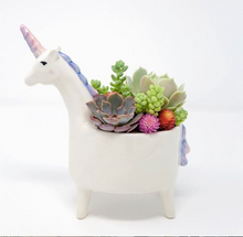 Load image into Gallery viewer, Unicorn Planter Pot