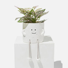 Load image into Gallery viewer, Rope Legs Planter Pot