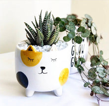 Load image into Gallery viewer, Spotted Calico Cat Planter
