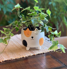 Load image into Gallery viewer, Spotted Calico Cat Planter