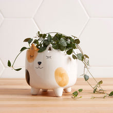 Load image into Gallery viewer, Spotted Calico Cat Planter