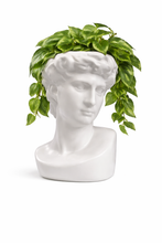 Load image into Gallery viewer, Grecian God Bust Planter