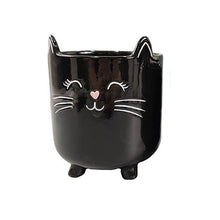 Load image into Gallery viewer, Black Cat Planter Pot With Ears & Whiskers for Succulents, Flowers, Herbs or Plants