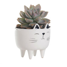 Load image into Gallery viewer, Ceramic Animal Planter
