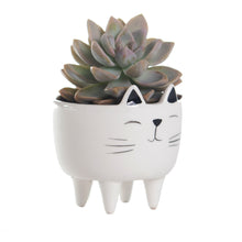 Load image into Gallery viewer, Ceramic Animal Planter