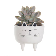 Load image into Gallery viewer, Ceramic Cat Planter