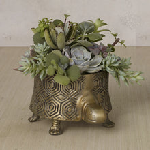 Load image into Gallery viewer, Metal Turtle Planter for Succulents & Plants