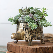 Load image into Gallery viewer, Metal Turtle Planter for Succulents & Plants