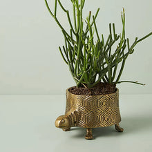 Load image into Gallery viewer, Metal Turtle Planter for Succulents &amp; Plants
