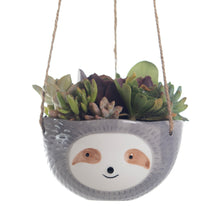 Load image into Gallery viewer, Ceramic Sloth Planters Collection