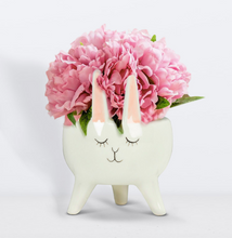 Load image into Gallery viewer, Abbott Bunny Planter