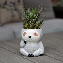 Load image into Gallery viewer, Ceramic Sloth Planters Collection