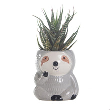 Load image into Gallery viewer, Ceramic Sloth Planters Collection