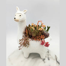 Load image into Gallery viewer, Lama Planter with a Succulent Arrangement