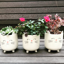 Load image into Gallery viewer, White Cat Planter Pot for Succulents