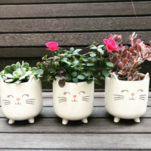 Load image into Gallery viewer, White Cat Planter Pot for Succulents
