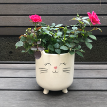 Load image into Gallery viewer, White Cat Planter Pot for Succulents