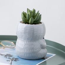 Load image into Gallery viewer, Succulent Planter