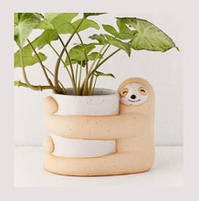 Load image into Gallery viewer, Ceramic Planter
