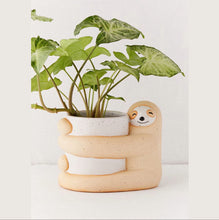 Load image into Gallery viewer, Sloth Planter for Pothos