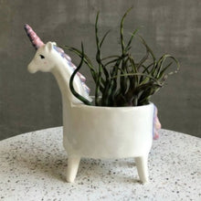 Load image into Gallery viewer, Unicorn Planter Pot for Plants, Succulents or Cactus