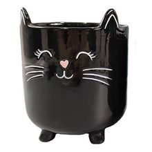 Load image into Gallery viewer, Black Cat Planter Pot With Ears & Whiskers for Succulents, Flowers, Herbs or Plants