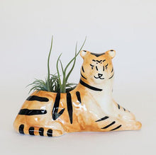 Load image into Gallery viewer, Tiger Planter for Succulents &amp; Air Plants
