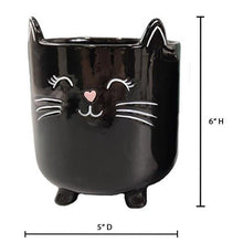 Load image into Gallery viewer, Black Cat Planter Pot With Ears & Whiskers for Succulents, Flowers, Herbs or Plants