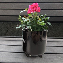 Load image into Gallery viewer, Black Cat Planter Pot With Ears & Whiskers for Succulents, Flowers, Herbs or Plants