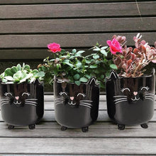 Load image into Gallery viewer, Cat Planter Pot With Ears &amp; Whiskers for Succulents, Flowers, Herbs or Plants
