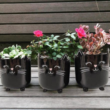 Load image into Gallery viewer, Black Cat Planter Pot With Ears & Whiskers for Succulents, Flowers, Herbs or Plants