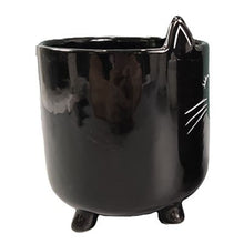 Load image into Gallery viewer, Black Cat Planter Pot With Ears & Whiskers for Succulents, Flowers, Herbs or Plants
