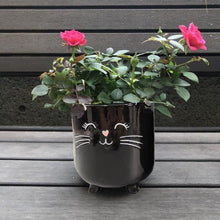 Load image into Gallery viewer, Black Cat Planter Pot With Ears & Whiskers for Succulents, Flowers, Herbs or Plants