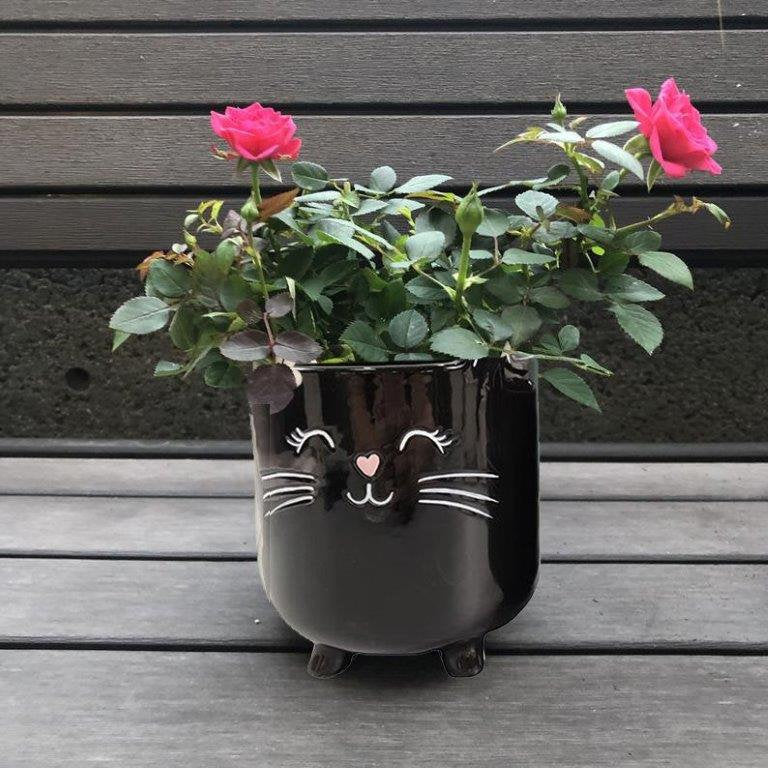 Cat Planter Pot With Ears & Whiskers for Succulents, Flowers, Herbs or Plants