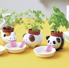 Load image into Gallery viewer, Cat Self Watering Wild Strawberry Plant Planter Pot | Cat Planter | White Cat Pot| Self Watering Planter