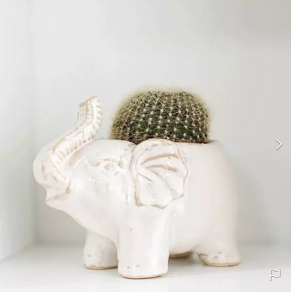 Elephant Planter Pot