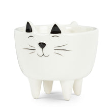 Load image into Gallery viewer, Standing White Cat Planter Pot
