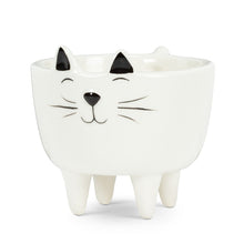 Load image into Gallery viewer, Standing White Cat Planter Pot
