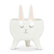 Load image into Gallery viewer, Abbott Bunny Planter