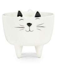 Load image into Gallery viewer, Cutest Cat Planter