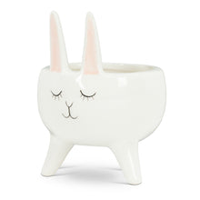 Load image into Gallery viewer, Abbott Bunny Planter
