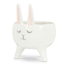 Load image into Gallery viewer, Abbott Bunny Planter