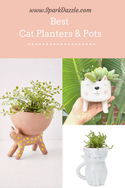 Top Cat Planters, Pots & Vases for the Cat Lover